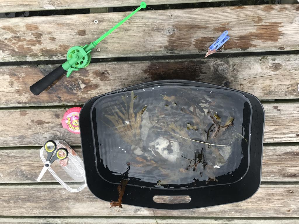 Hygge Strand Camping Odder Exteriör bild