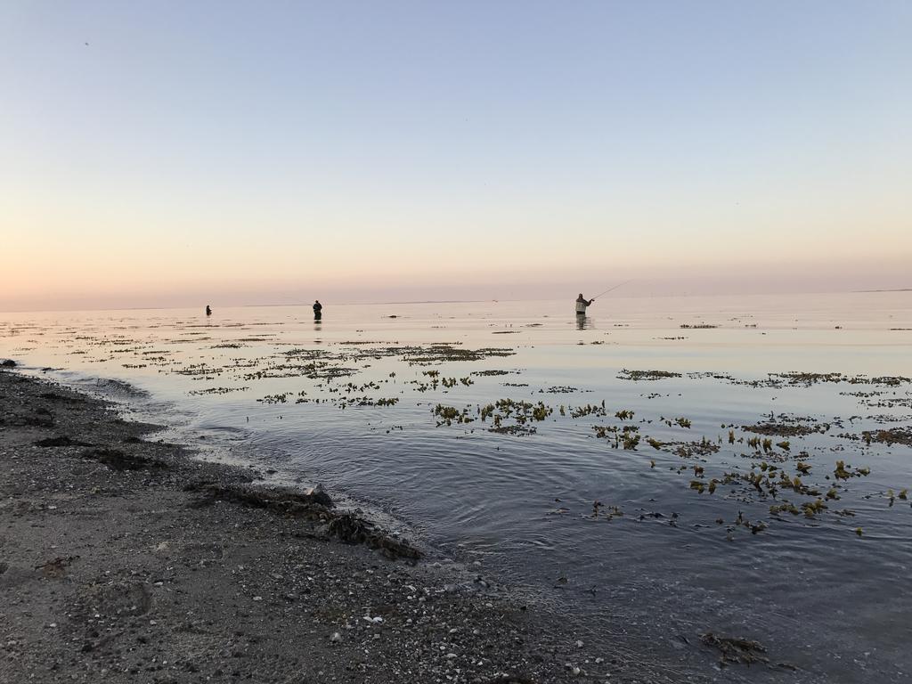 Hygge Strand Camping Odder Exteriör bild